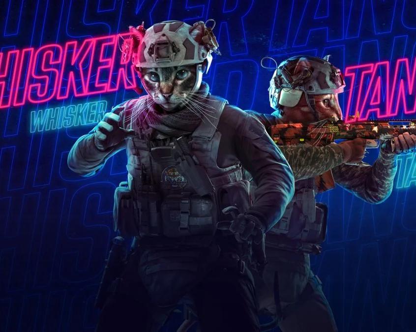 Игроки Modern Warfare 2 и Warzone 2 могут примерить на себя облики котиков